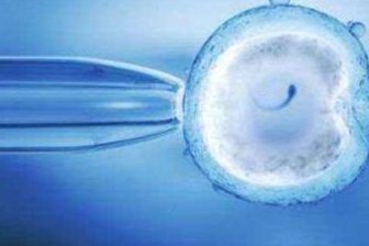 浙江正规助孕咨询生宝宝服务，杭州专业试管助孕公司